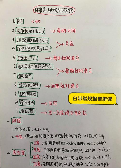 白带常规多久复查一次