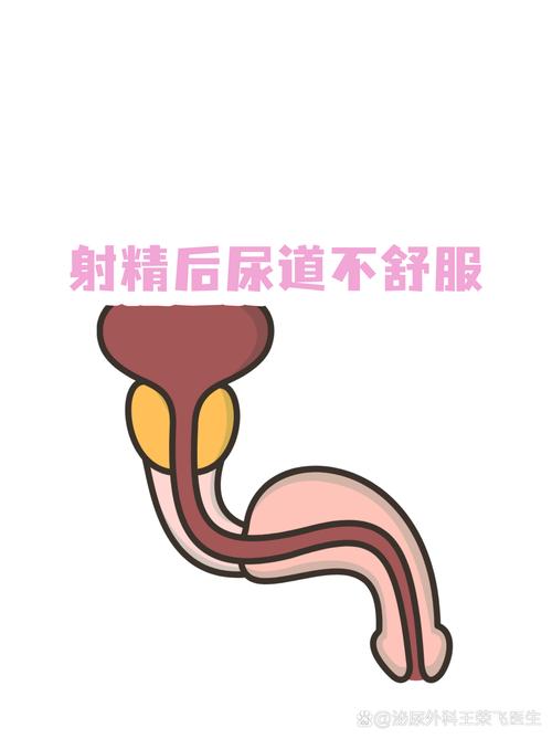 润滑不足会让射精不适吗