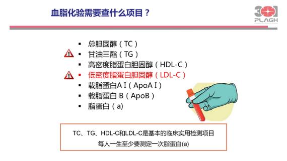 勃起不好需要查血脂吗
