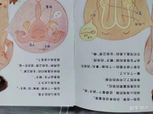 男孩问“男生女生为什么不一样”,该怎么回答他?-两性知识丨两性健康--你想了解的我都知道