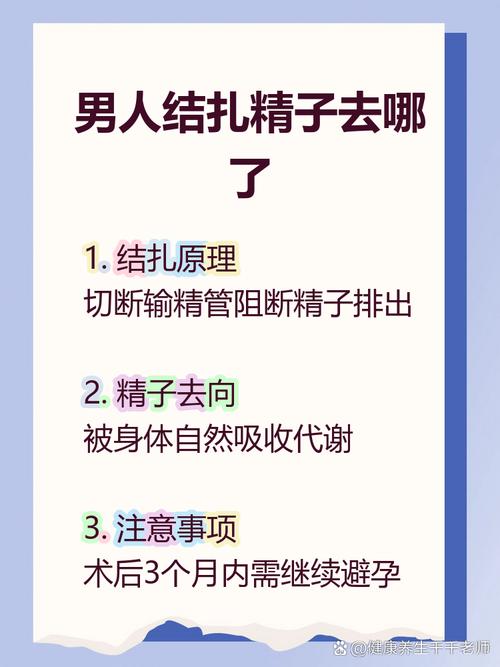 男性结扎后精子去哪了