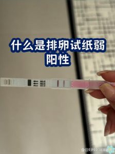 备孕期间能用排卵监测手环吗?-两性知识丨两性健康--你想了解的我都知道