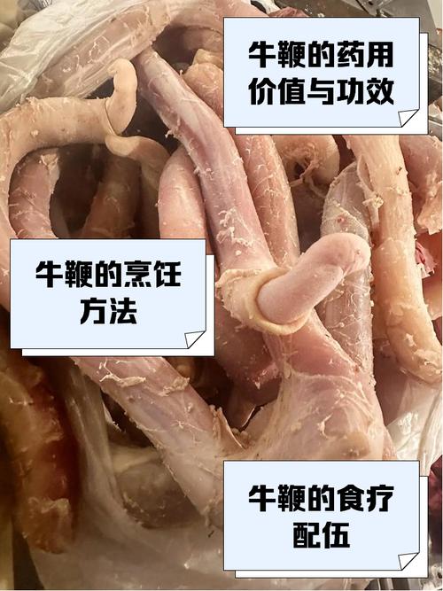猪鞭牛鞭等食材真能壮阳吗