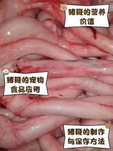 动物鞭类制品，主要成分是什么-两性知识丨两性健康--你想了解的我都知道