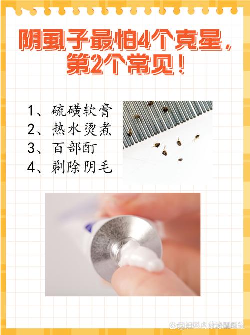 阴虱要怎么治疗和消毒