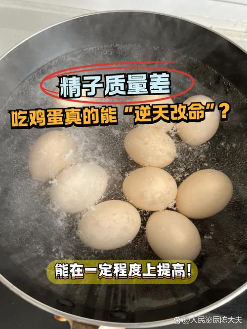 每天吃鸡蛋能提升精子质量吗