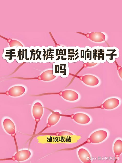 手机放裤兜会伤精子吗