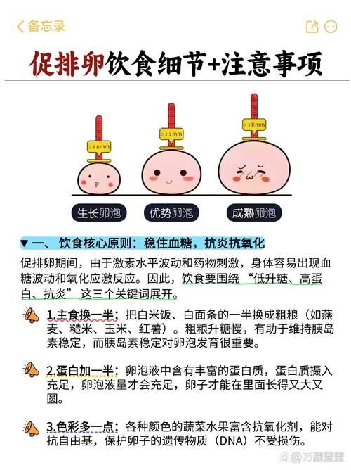 促排卵期间要注意哪些事项