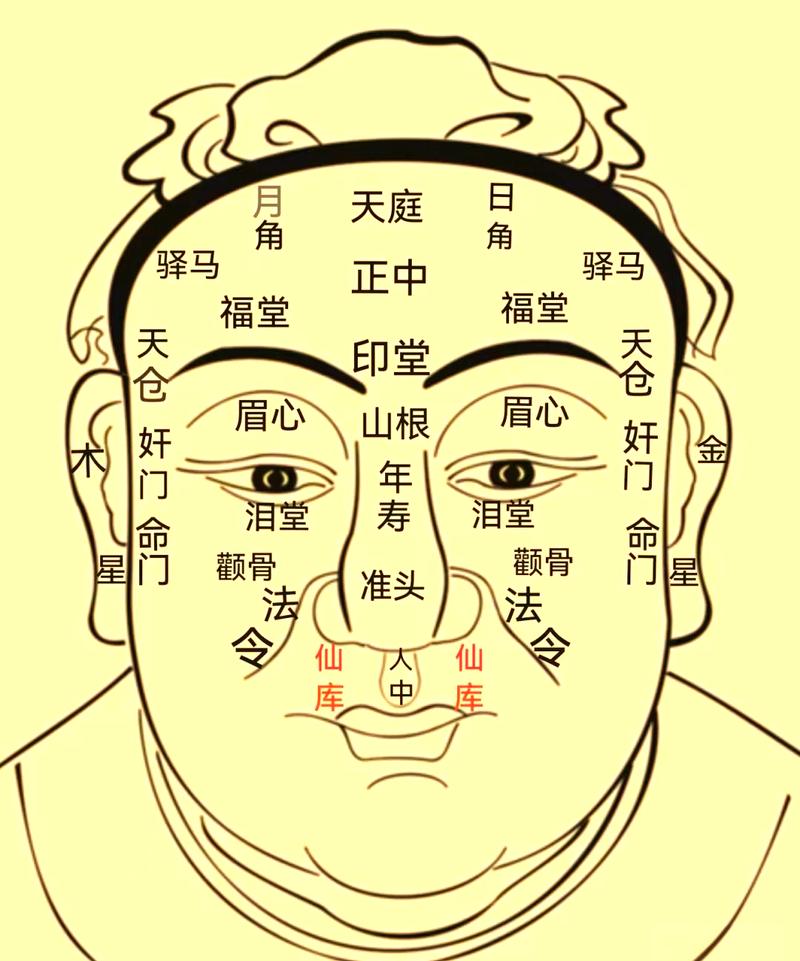 面相能看出性功能强弱吗