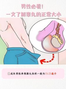 睾丸大小和性能力到底有没有关系？-两性知识丨两性健康--你想了解的我都知道