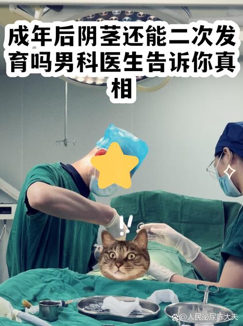 成年后阴茎还能二次发育吗