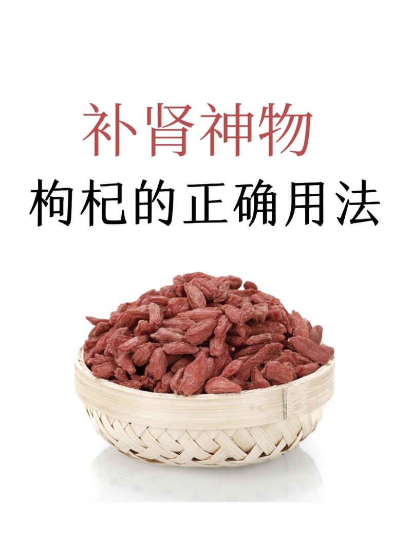 枸杞泡水真能养肾护性吗