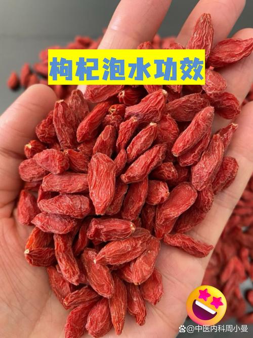 枸杞泡水真能养肾护性吗
