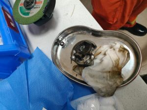 男性生殖器检查会尴尬吗-两性知识丨两性健康--你想了解的我都知道