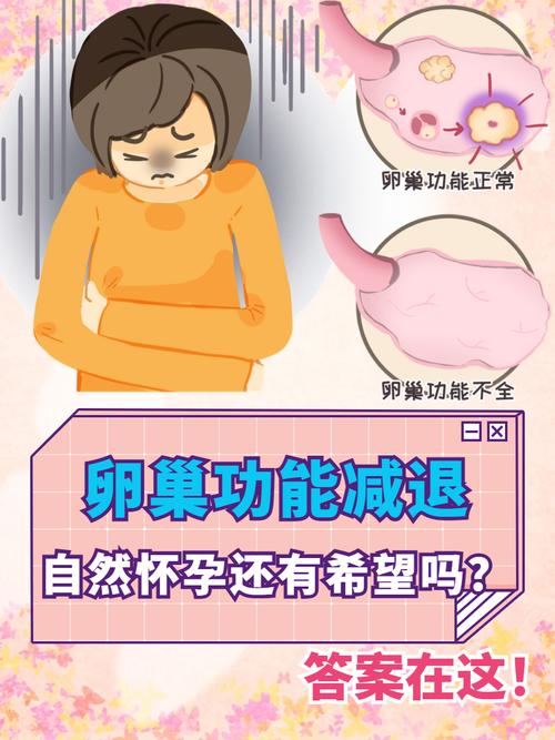 卵巢功能减退能怀二胎吗