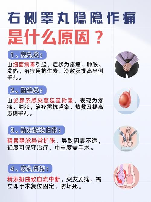 睾丸疼痛可能是什么原因