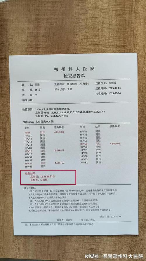 男性HPV筛查阳性要转诊哪个科