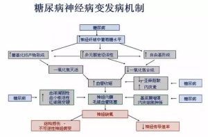 糖尿病神经病变,怎么影响勃起?一文读懂原因与应对-两性知识丨两性健康--你想了解的我都知道