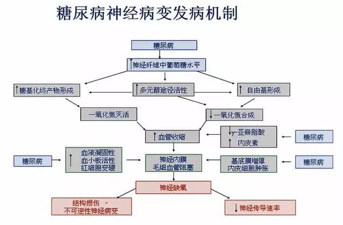 糖尿病神经病变,怎么影响勃起