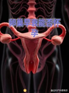 卵巢早衰还能怀孕吗?-两性知识丨两性健康--你想了解的我都知道