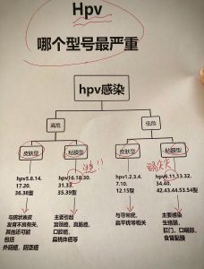 高危型HPV和低危型到底差在哪?一文给你讲明白-两性知识丨两性健康--你想了解的我都知道