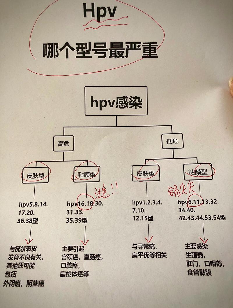 高危型HPV和低危型区别