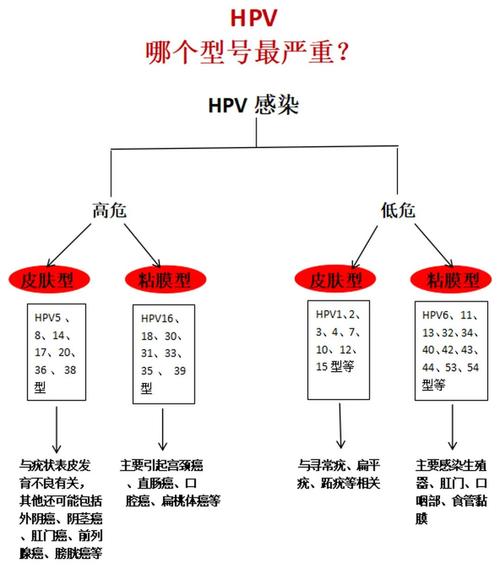 高危型HPV和低危型区别