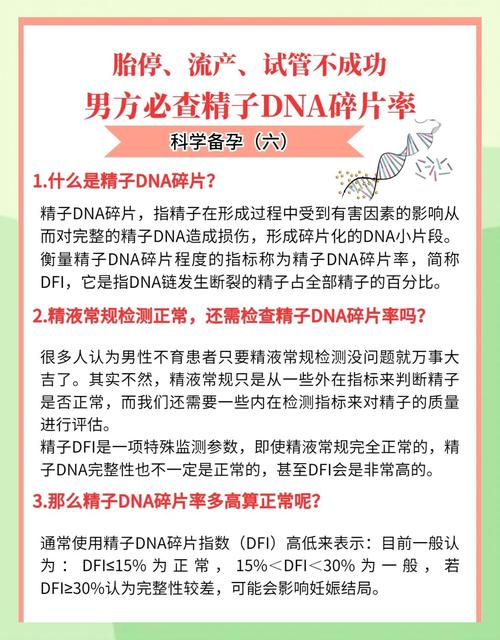 碎片率和精子活力哪个更重要
