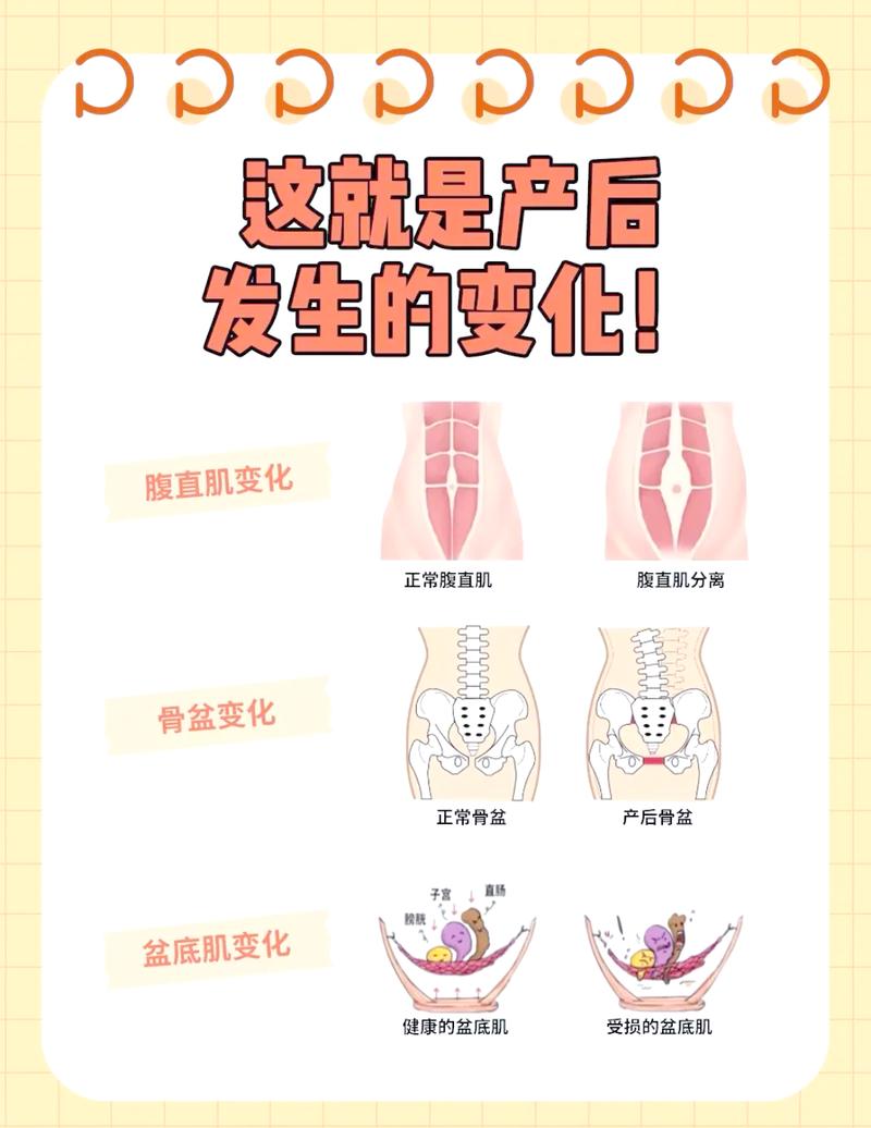 产后腹直肌分离和盆底有关吗