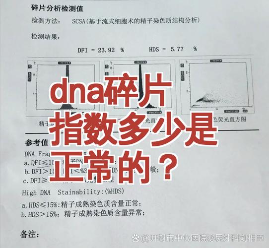 精子DNA碎片率多少算正常