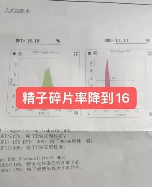 精子碎片率高还能自然怀孕吗
