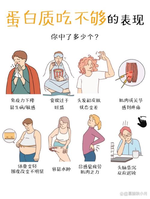 性欲低和蛋白质摄入不足有关吗