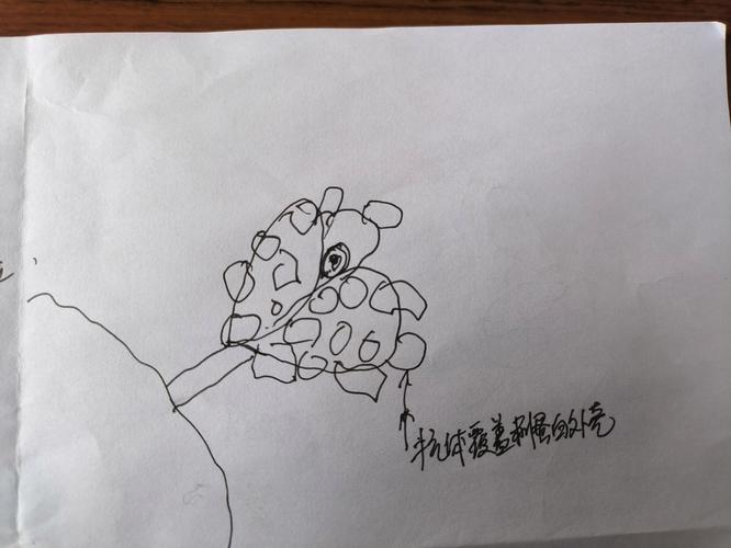 家长该不该带男孩接种HPV疫苗