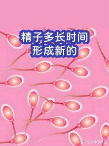 精子从生成到成熟要多久？-两性知识丨两性健康--你想了解的我都知道