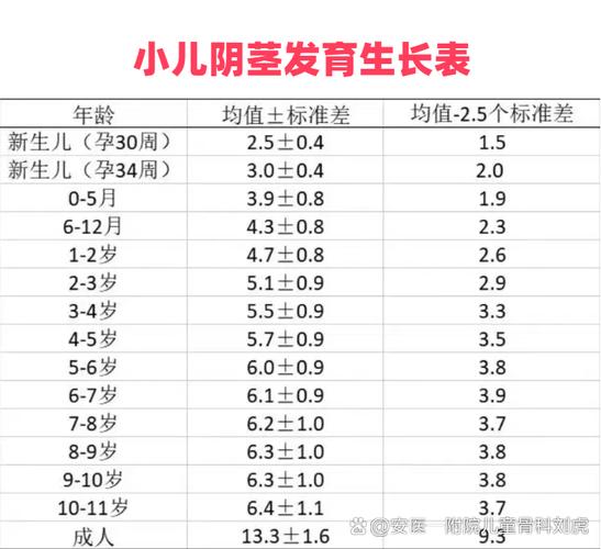 青少年阴茎发育到几岁基本定型