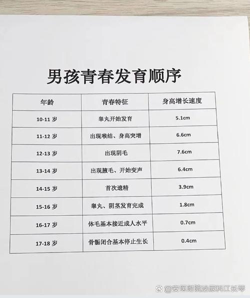 青少年阴茎发育到几岁基本定型