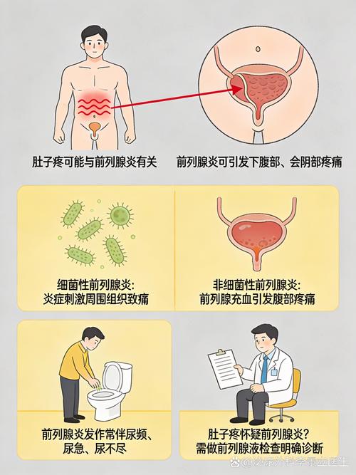 前列腺炎会引起小腹隐痛吗