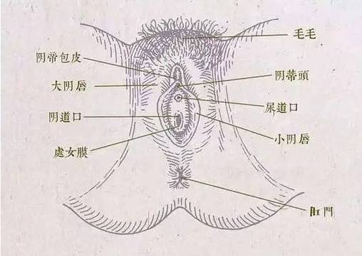 性欲低和阴道干涩怎么应对