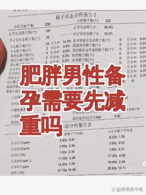 肥胖男性备孕,先减重吗