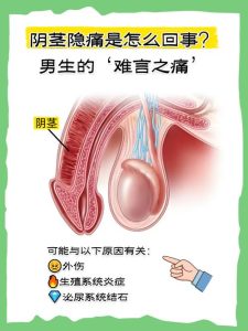 高潮后阴茎隐隐作痛是怎么回事,常见原因有哪些-两性知识丨两性健康--你想了解的我都知道