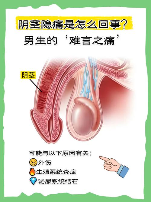 高潮后阴茎隐痛,常见原因有哪些
