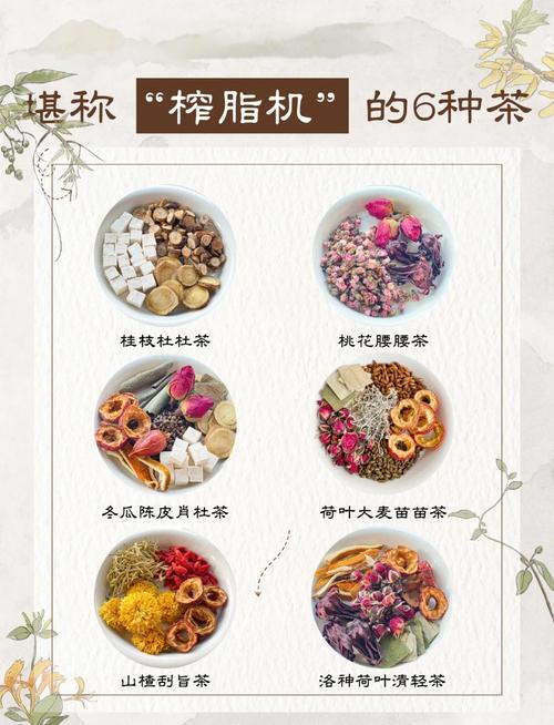 备孕期间能喝减肥茶吗