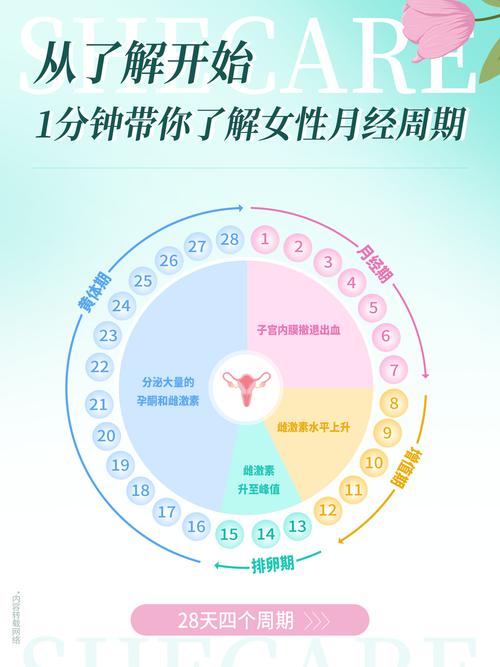 月经周期忽长忽短要记录哪些信息