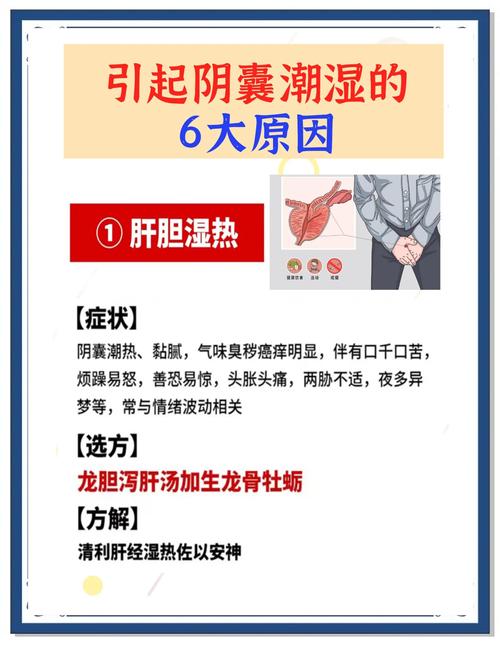 阴囊潮湿是病还是体质问题-示意图