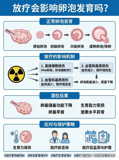 放疗对卵巢功能的影响有多大