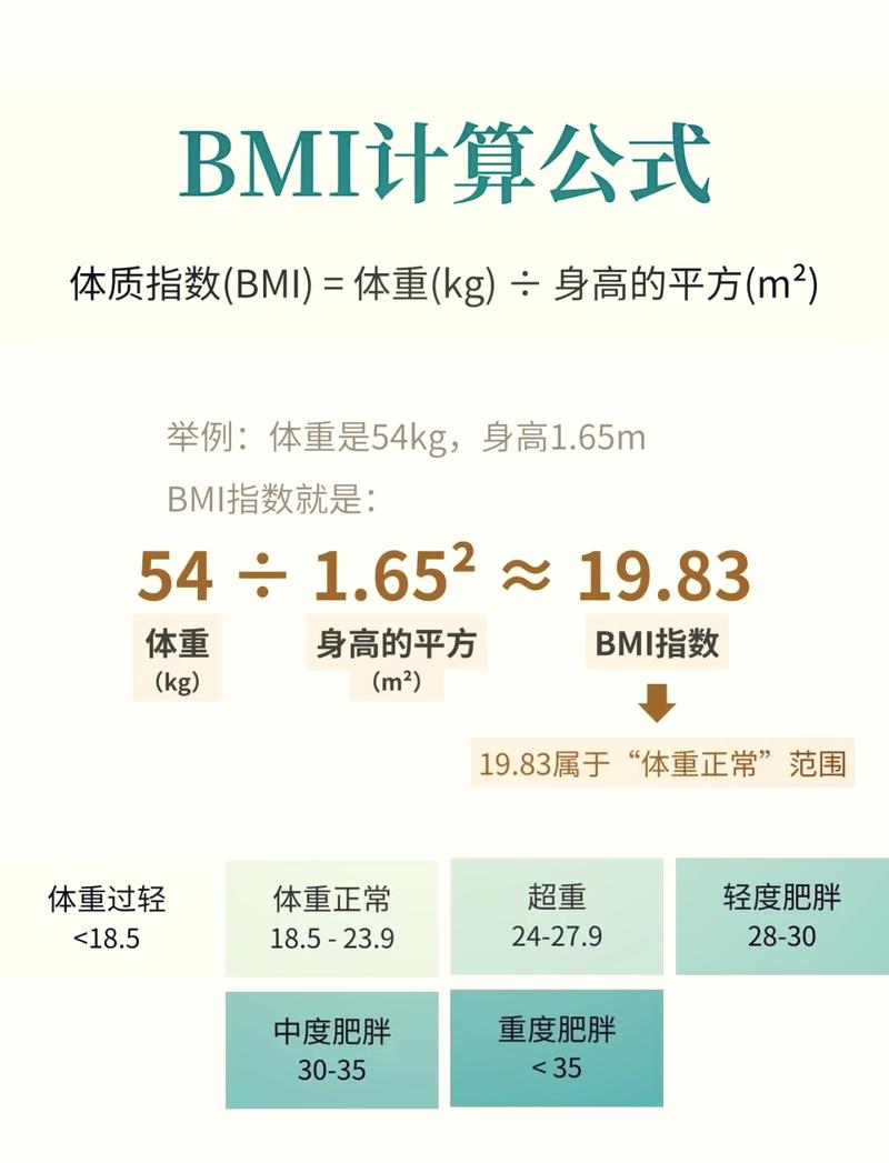 BMI超过多少会影响做试管成功率