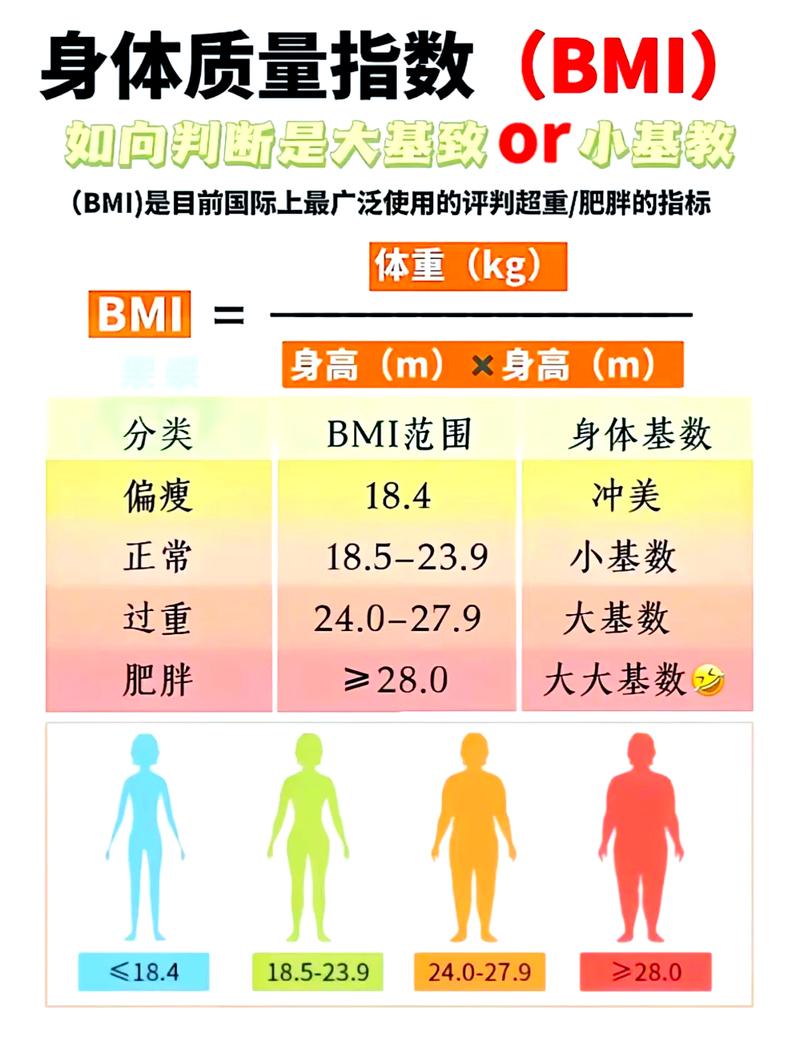 BMI超过多少会影响做试管成功率