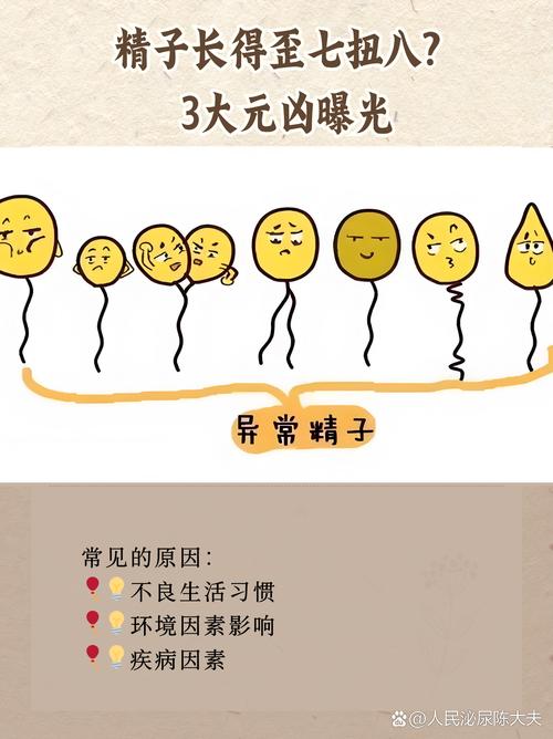 精子形态异常率高的原因