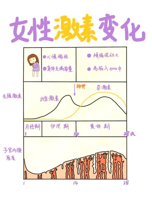 月经期间情绪起伏大是激素在波动吗-相关配图