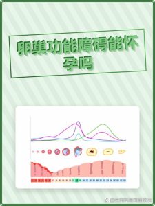 卵巢组织移植后生育机会有多大?-两性知识丨两性健康--你想了解的我都知道